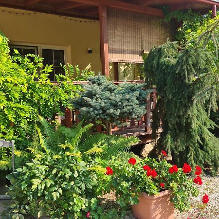 Apartament Malinowa Dolina Kłodzko Exteriör bild