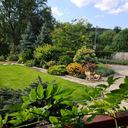 Apartament Malinowa Dolina Kłodzko Exteriör bild