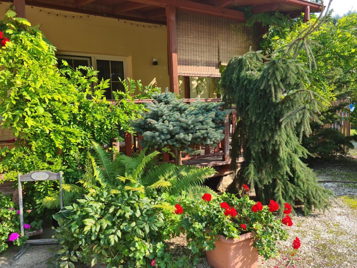 Apartament Malinowa Dolina Kłodzko Exteriör bild