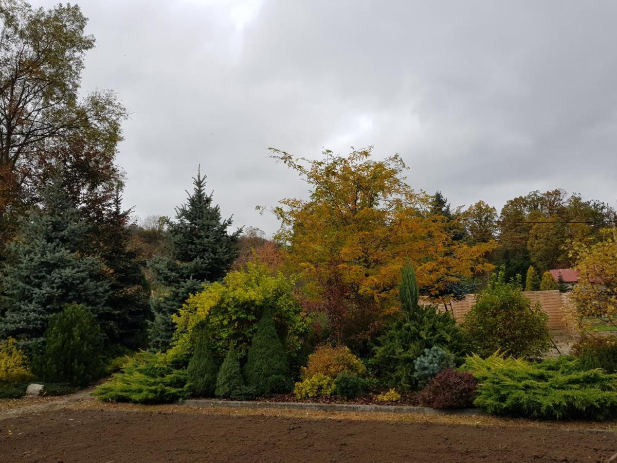 Apartament Malinowa Dolina Kłodzko Exteriör bild